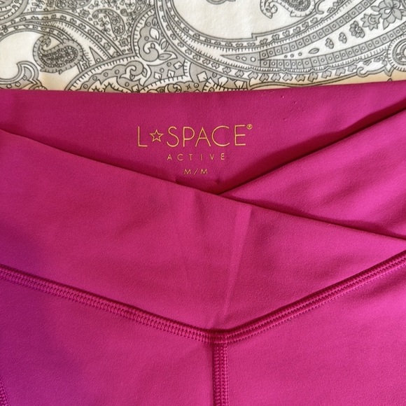 COPY - COPY - L*space slate Carter bike shorts size small - Picture 4 of 8